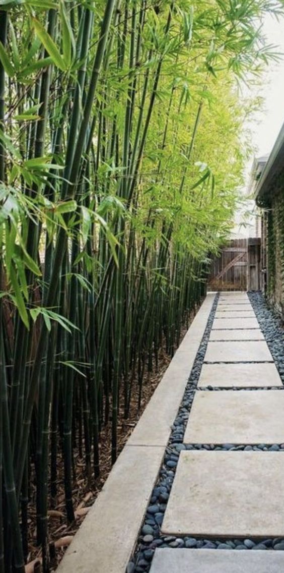 Tips For Decorating With Bamboo And Rattan - Decozilla