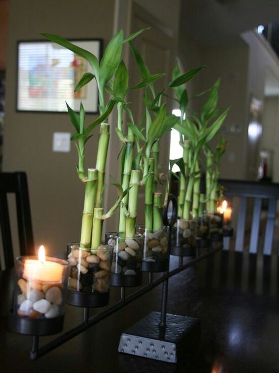 Bamboo Home Decor Idea