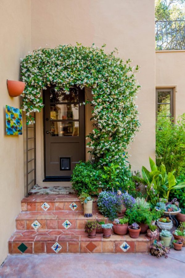 Beautiful-Front-Door-decor Ideas with Confederate jasmine vine, terracotta steps ,potted plants and succulents