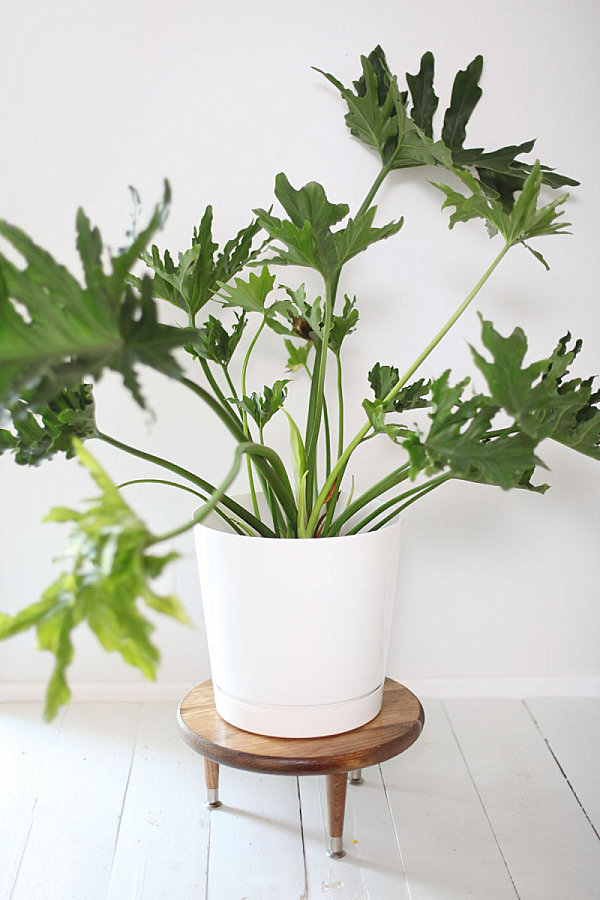 Plant Stand Stool With Midcentury Flair