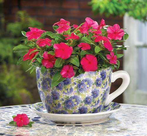 Flower Planter Tea Cup