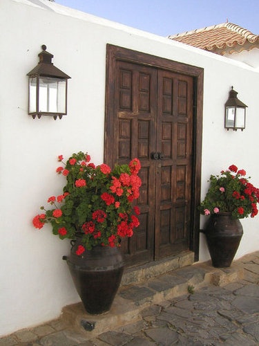 Front door with flower-pot-decor