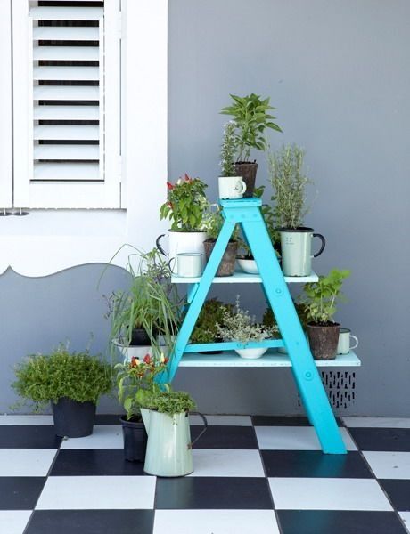 Ladder As A Plant Stand