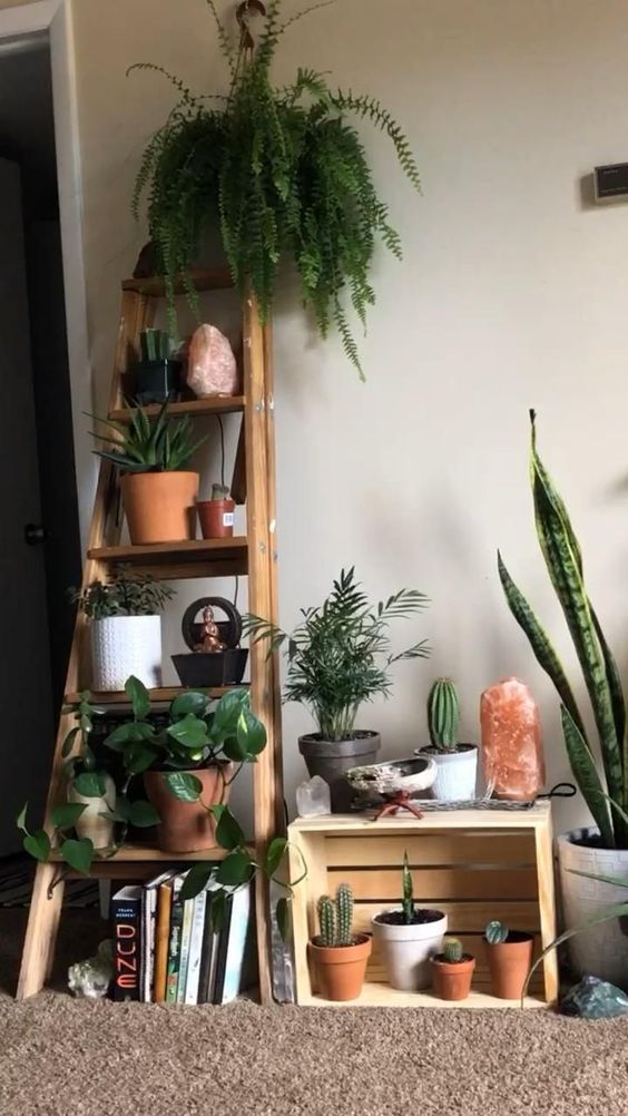 Pallet Wood And Ladder As A Plant Stand