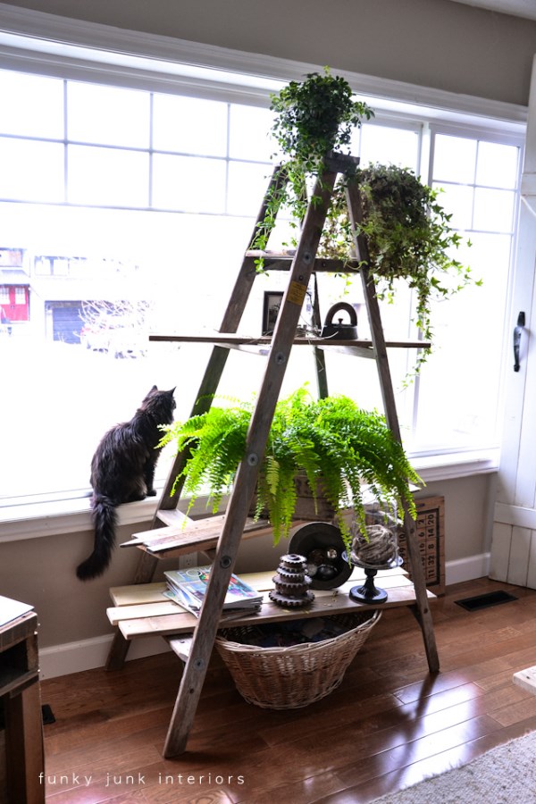 Vintage Ladder As A Plant Stand