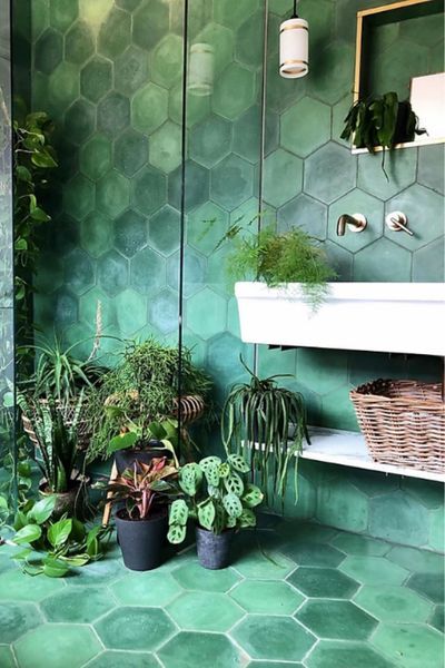 green bathroom with hexagonal tiles and plants